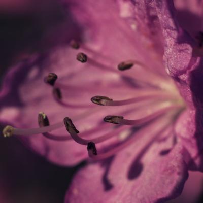 20120325 164320 1536x1024