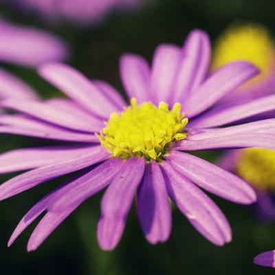 20120628 093732 1536x1024