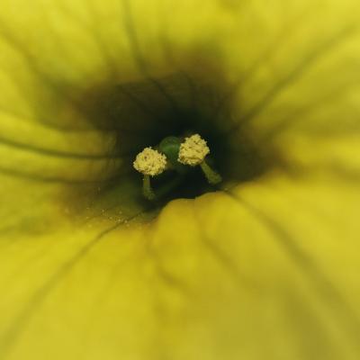 20120630 130300 1536x1024