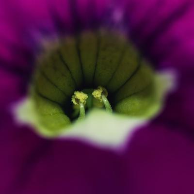 20120630 130412 1536x1024