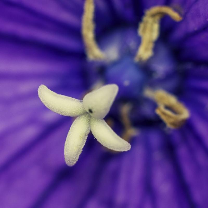 20120630 130849 1536x1024