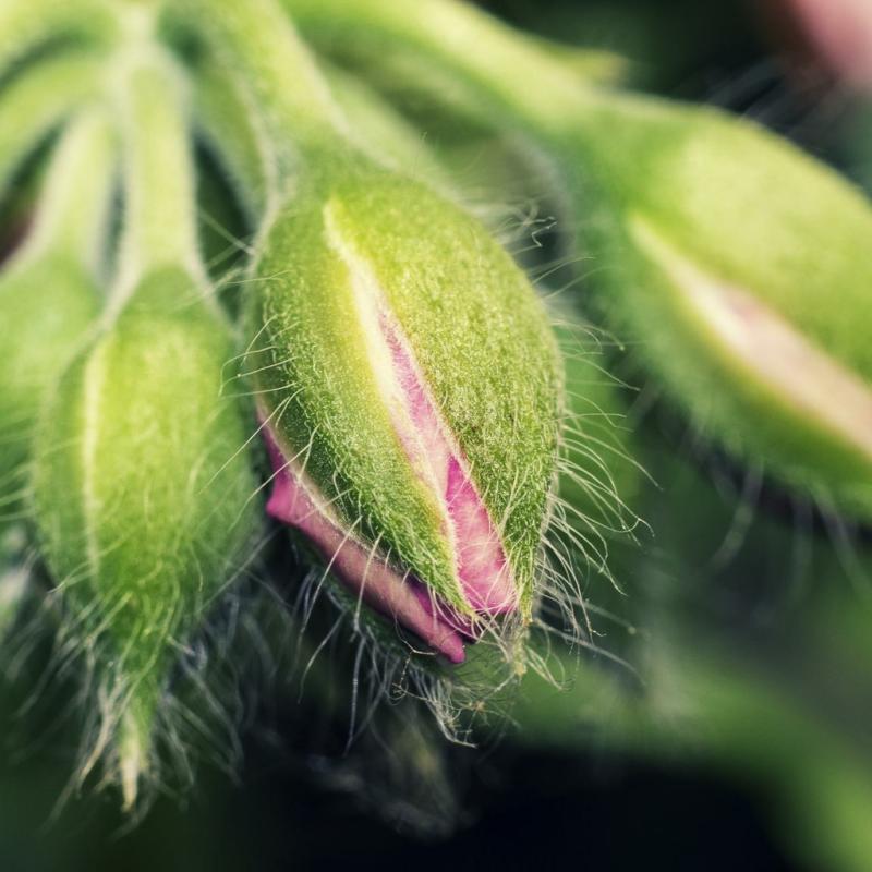 20120630 131857 1536x1024