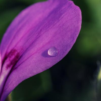 20120704 175620 1536x1024