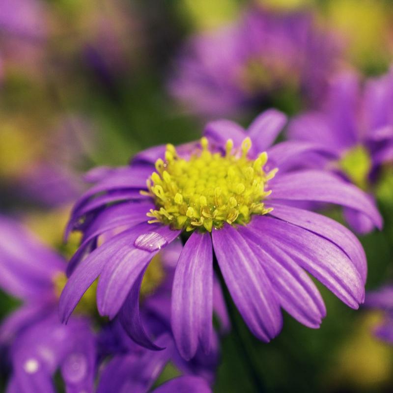 20120705 165010 1536x1024