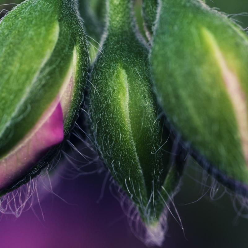 20120724 205026 1536x1024