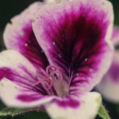 20120724 205427 1536x1024