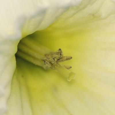 20110406 182106 1536x1024