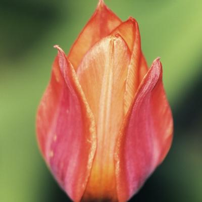 20110406 190456 1536x1024
