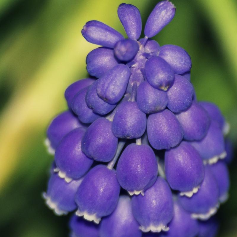 20110406 193116 1536x1024