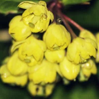 20110406 193228 1536x1024