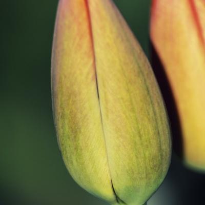 20110406 194019 1024x1536