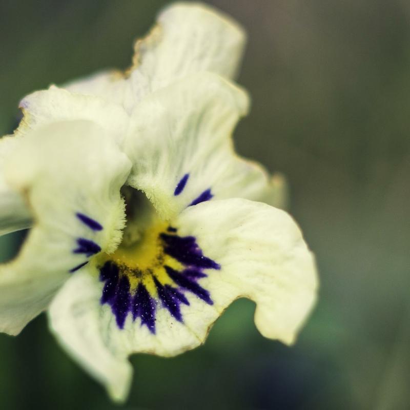 20130407 173814 1536x1024