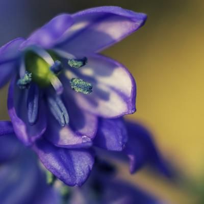 20130407 174823 1536x1024