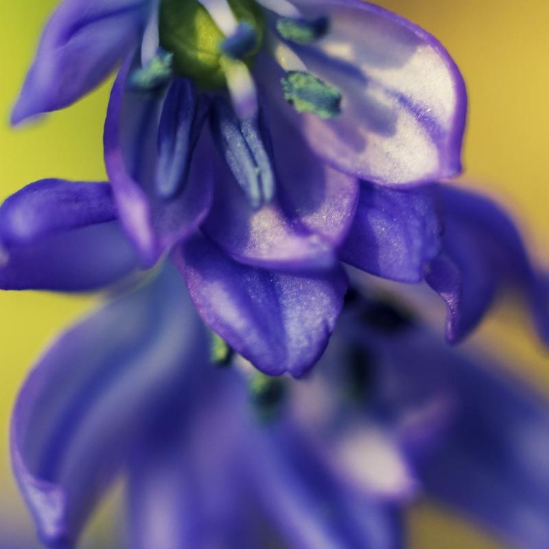 20130407 174855 1024x1536