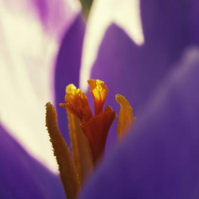 20130407 175319 1024x1536
