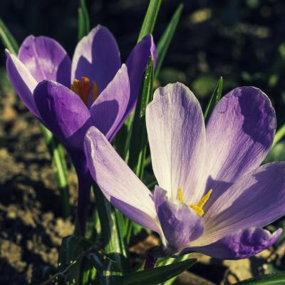 20130407 175930 1536x1024