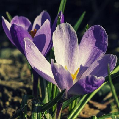 20130407 175957 1024x1536