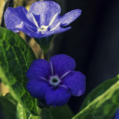 20130407 184712 1024x1536