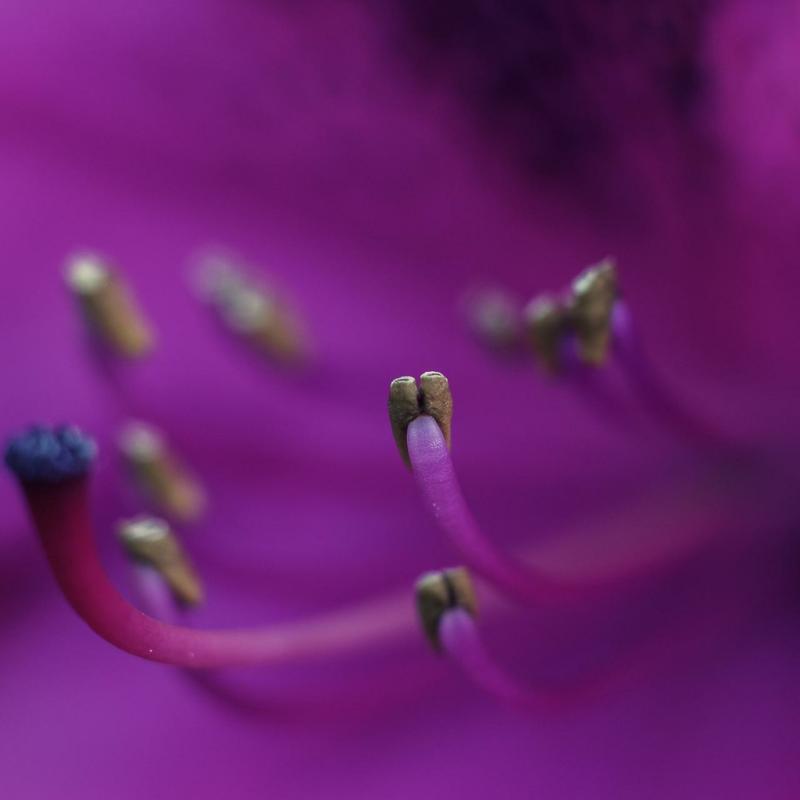 20130528 192605 1536x1024