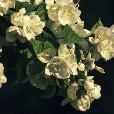 20130620 200320 1536x1024