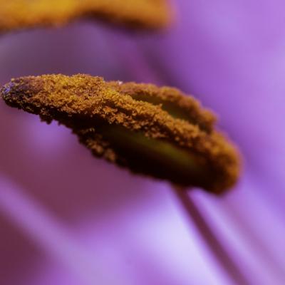 20120213 202832 1536x1024