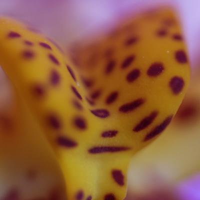 20120719 202942 1536x1024