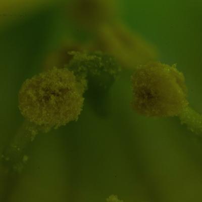20120719 210714 1536x1024