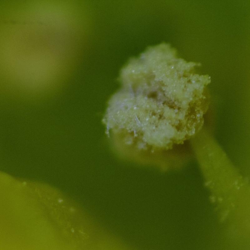20120720 184832 1536x1024