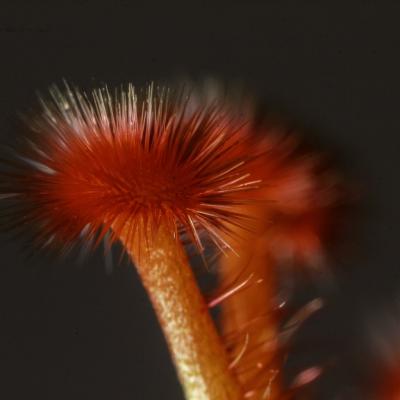 20120723 221807 1536x1024
