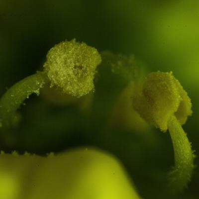 20120723 223043 1536x1024