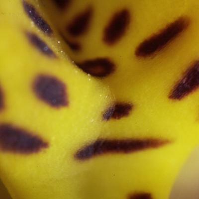 20120723 224559 1536x1024
