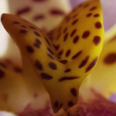 20120723 230307 1536x1024